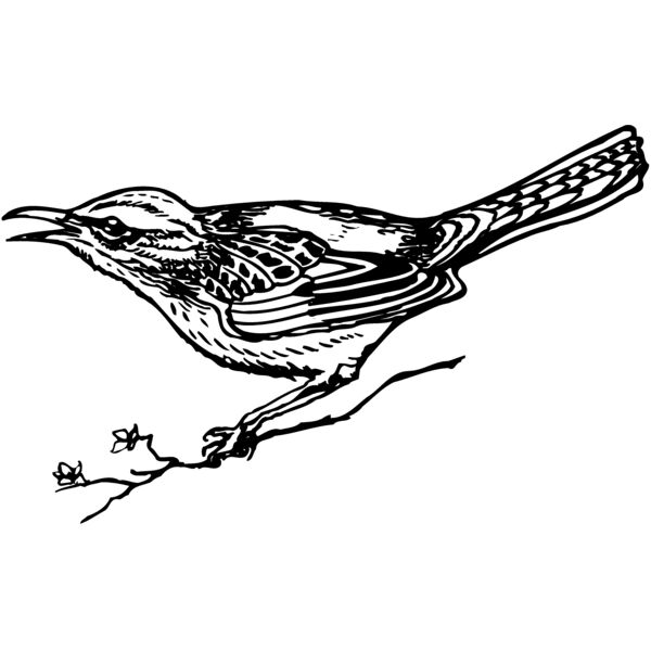 BIRD018 Thumbnail
