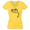 Lady-fit Valueweight V-Neck T-Shirt Thumbnail